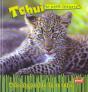 Tchui Le Petit Leopard - Preview
