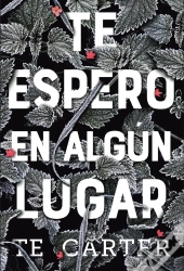 Te Espero En Algún Lugar