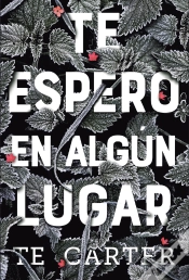 Capa do artigo Te Espero En Algún Lugar