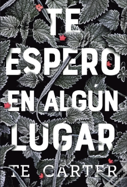 Capa do artigo Te Espero En Algún Lugar