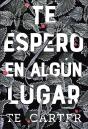 Te Espero En Algún Lugar - Preview