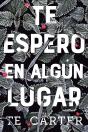 Te Espero En Algún Lugar - Preview
