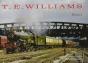 T.E. Williams - The Lost Colour Collection - Preview
