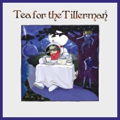 Capa do artigo Tea for the Tillerman 2 - Vinil