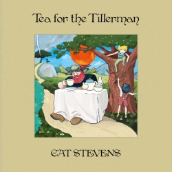 Capa do artigo Tea For The Tillerman - Vinil