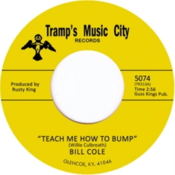 Capa do artigo Teach Me How to Bump - Vinil