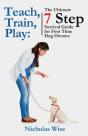 Teach, Train, Play: The Ultimate 7 Step - Preview