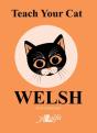 Teach Your Cat Welsh - Preview