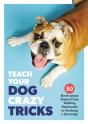 Teach Your Dog Crazy Tricks - Preview