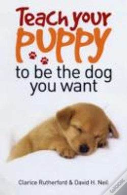 Capa do artigo Teach Your Puppy To Be The Dog You Want