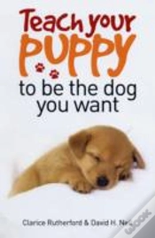 Capa do artigo Teach Your Puppy To Be The Dog You Want