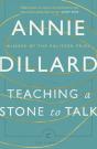 Teaching A Stone To Talk - Preview