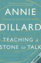 Capa do artigo Teaching A Stone To Talk
