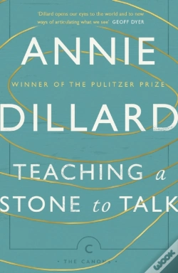 Capa do artigo Teaching A Stone To Talk