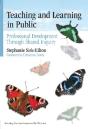 Teaching And Learning In Public - Preview