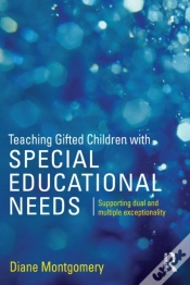 Capa do artigo Teaching Gifted Children With Special Educational Needs