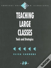 Teaching Large Classes