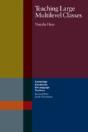Teaching Large Multilevel Classes - Preview