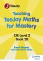 Teaching Teejay Maths For Mastery: Cfe Level 2 (Pack B) - Preview
