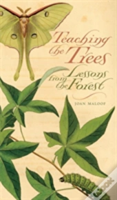 Teaching The Trees