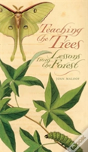 Capa do artigo Teaching The Trees