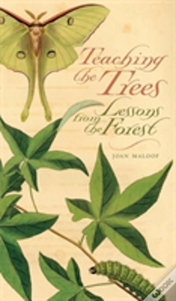 Capa do artigo Teaching The Trees