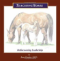 Teachinghorse - Preview