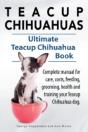 Teacup Chihuahuas. Teacup Chihuahua Comp - Preview