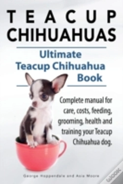 Capa do artigo Teacup Chihuahuas. Teacup Chihuahua Comp