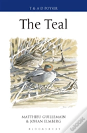 Capa do artigo Teal
