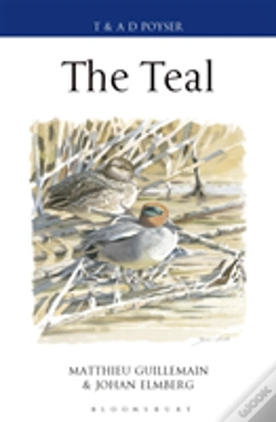 Capa do artigo Teal