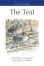 Teal - Preview