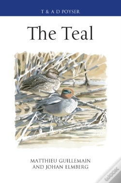 Capa do artigo Teal