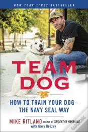 Capa do artigo Team Dog
