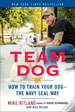 Capa do artigo Team Dog