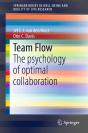 Team Flow - Preview
