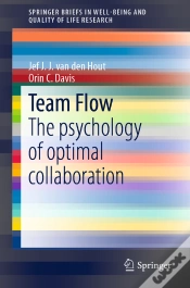 Capa do artigo Team Flow