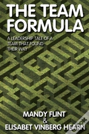 Capa do artigo Team Formula