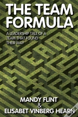 Capa do artigo Team Formula