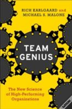 Capa do artigo Team Genius