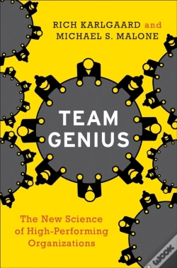 Capa do artigo Team Genius