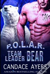 Capa do artigo Team Leader Bear