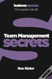 Capa do artigo Team Management