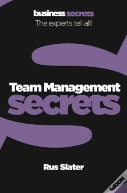 Capa do artigo Team Management