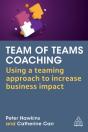 Team Of Teams Coaching - Preview