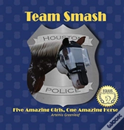 Capa do artigo Team Smash