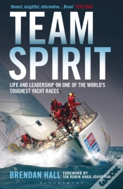 Capa do artigo Team Spirit