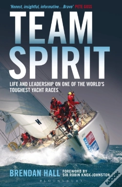 Capa do artigo Team Spirit