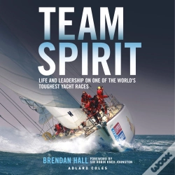 Capa do artigo Team Spirit