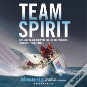 Capa do artigo Team Spirit